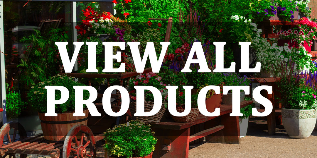 View All Products