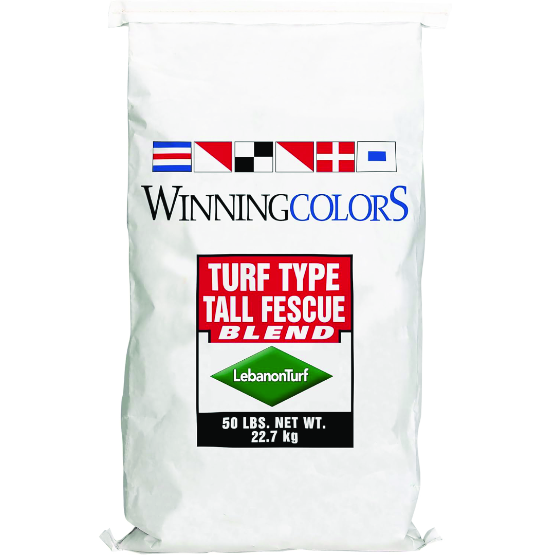Winning Colors Fescue Blend Grass Seed