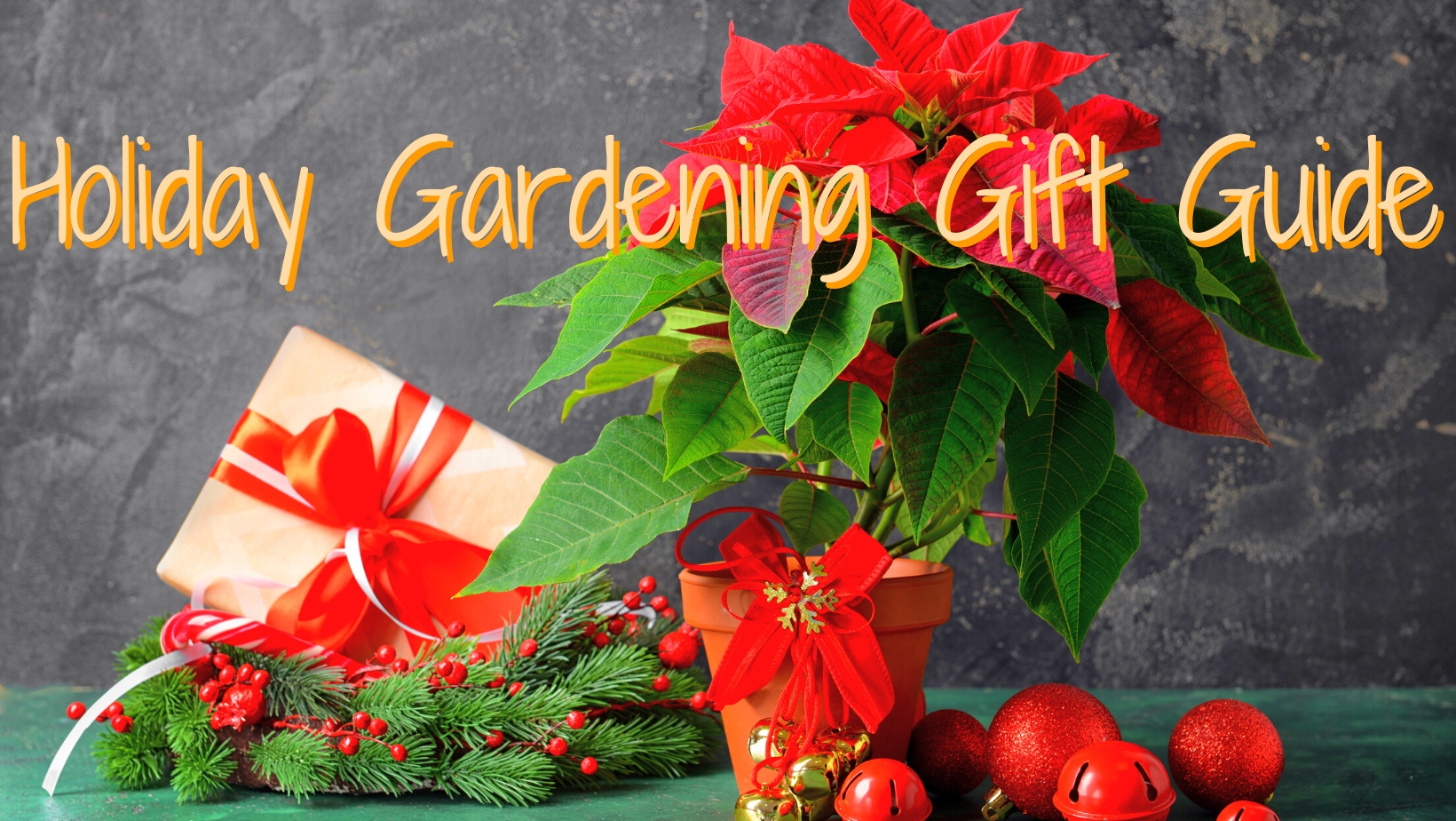 Holiday Gardening Gift Guide