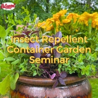 Insect Repellent Container Garden Seminar