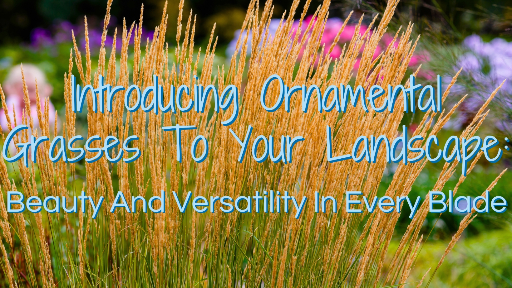 Introducing Ornamental Grasses To Your Landscape: Beauty And Versatility In Every Blade
