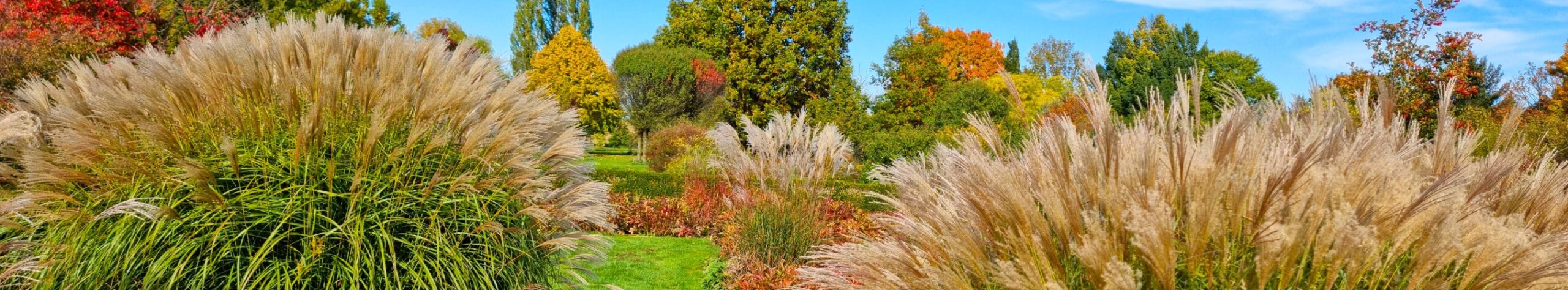 Landscape Contractors