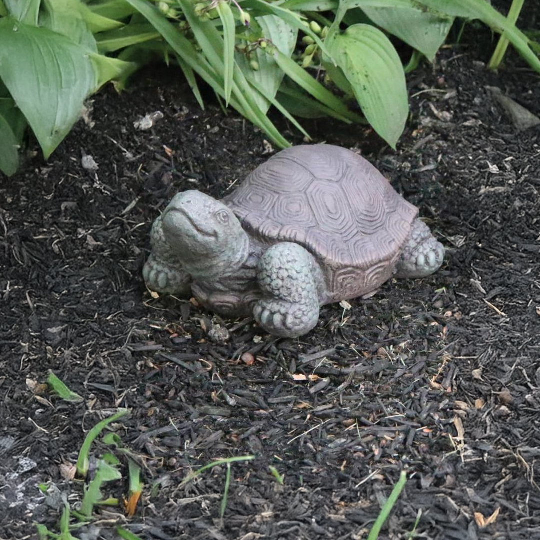 Tortoise Statue