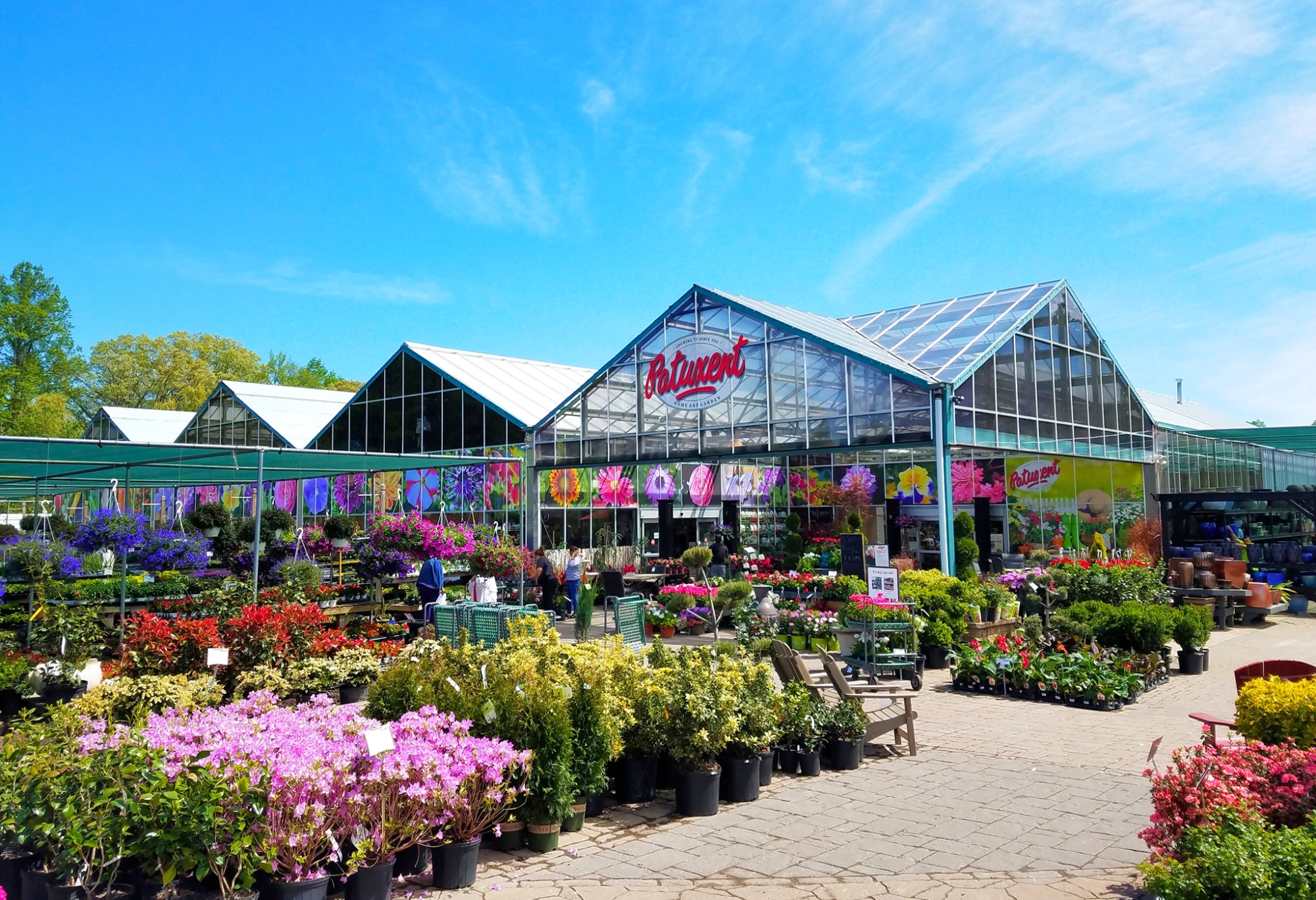 Maryland's Premier Garden Center & Plant Nursery