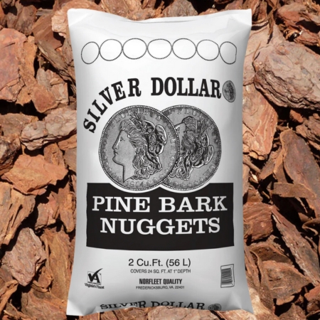 Silver Dollar Pine Bark Nuggets