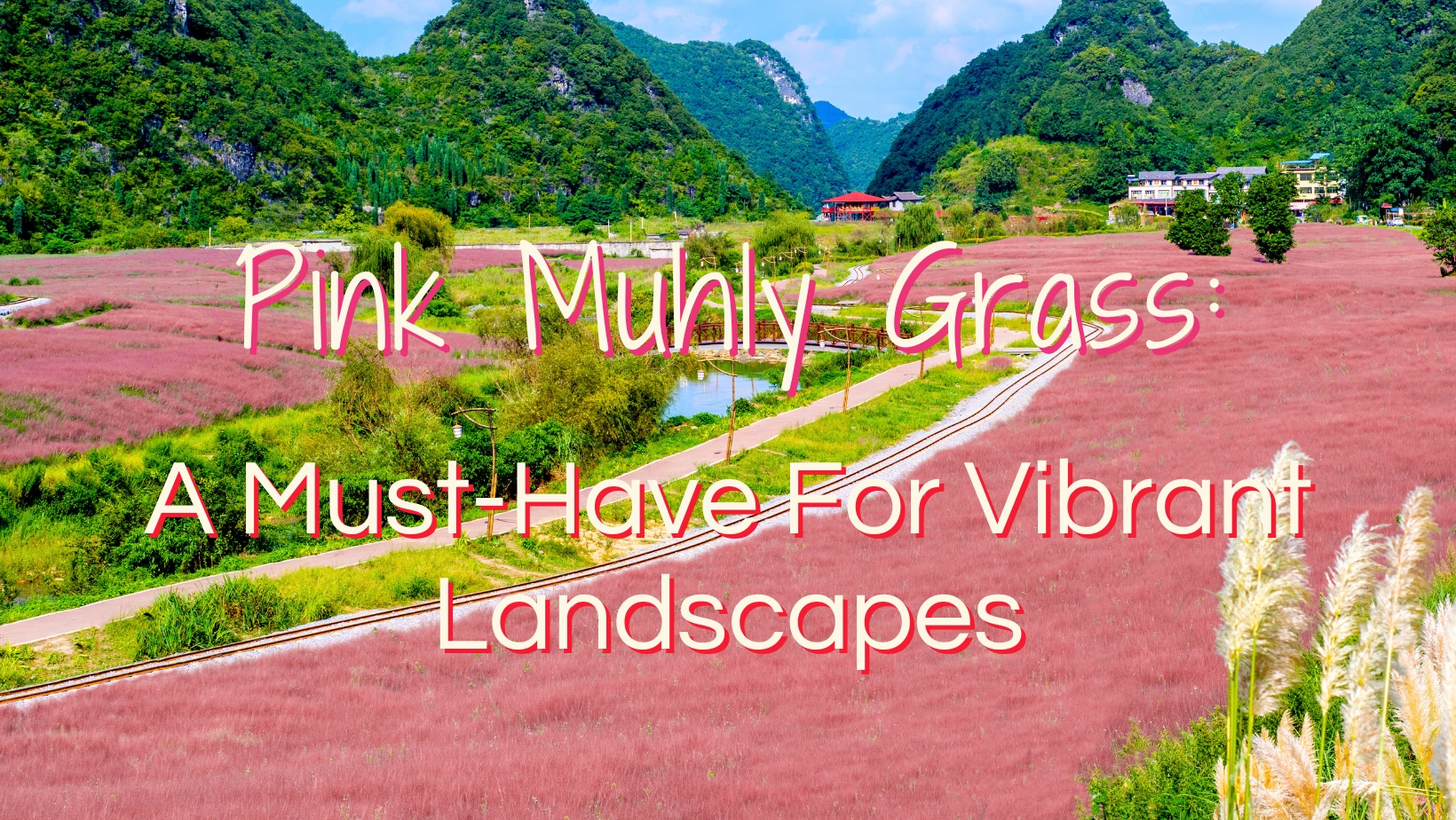 Pink Muhly Grass: A Must-Have For Vibrant Landscapes