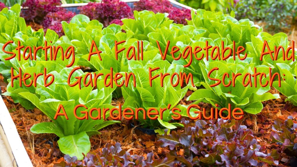Starting A Fall Vegetable And Herb Garden From Scratch: A Gardener’s Guide