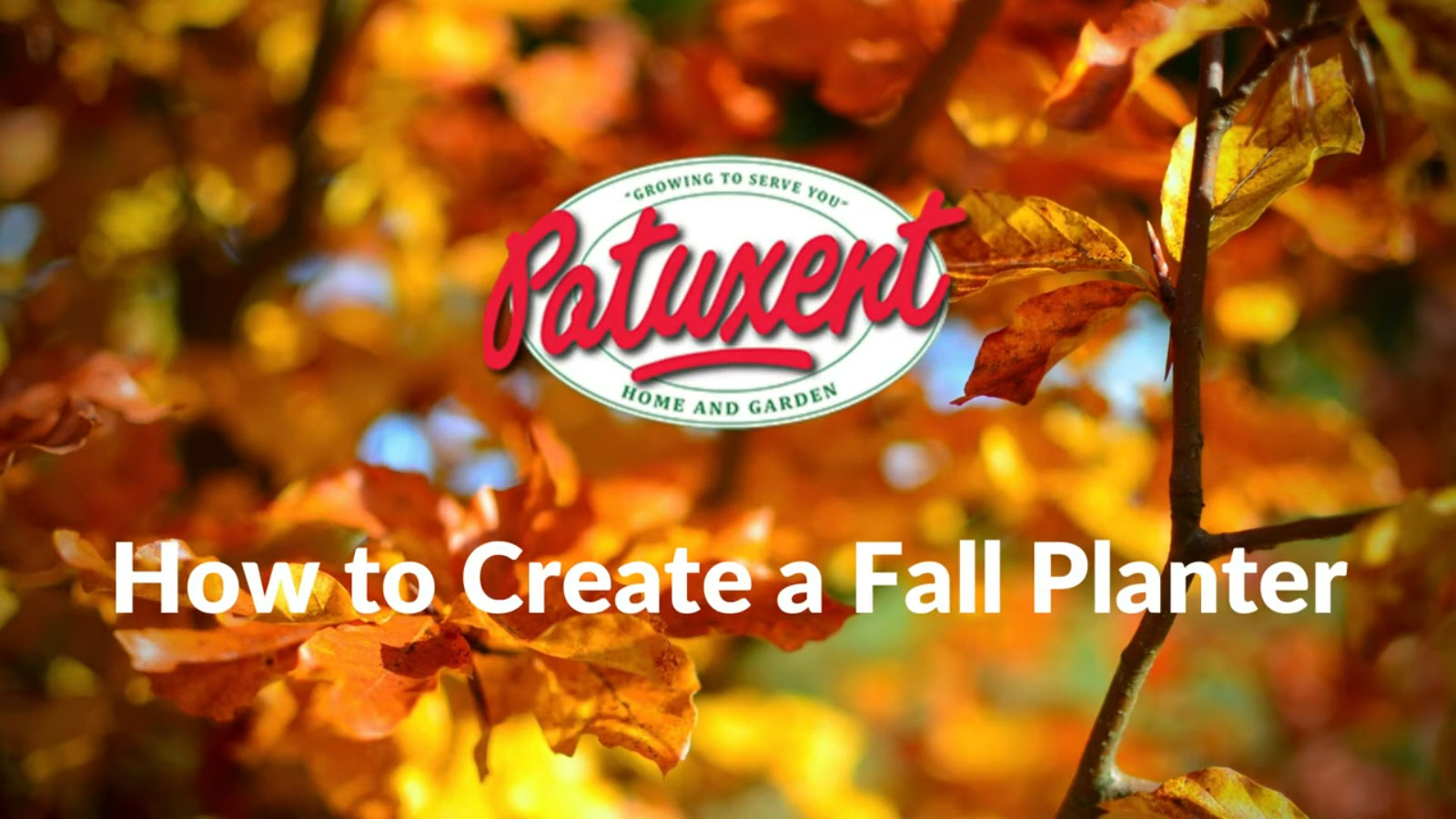 How to Create a Fall Planter