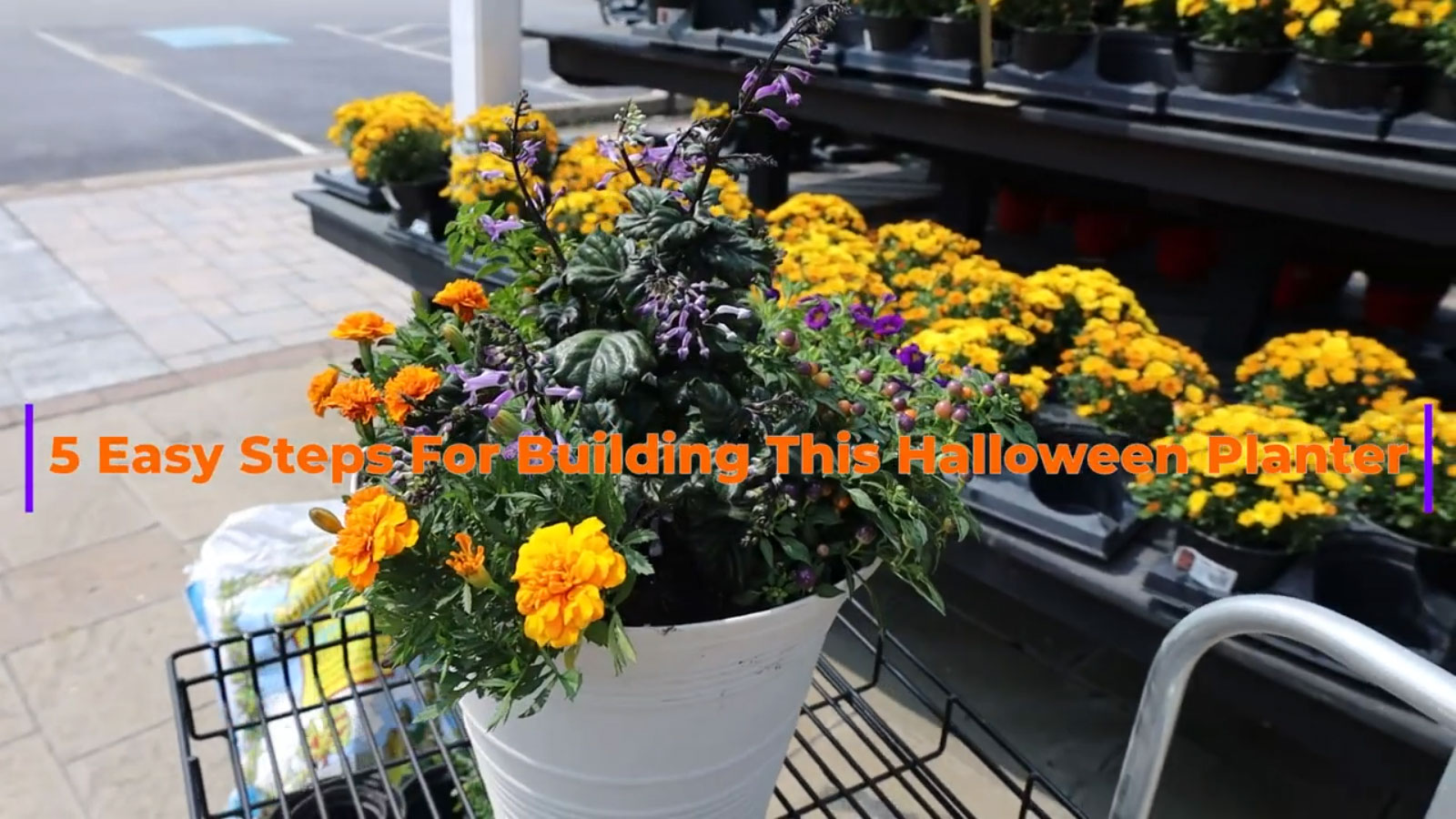 5 Easy Steps For Building A Halloween Porch Pot