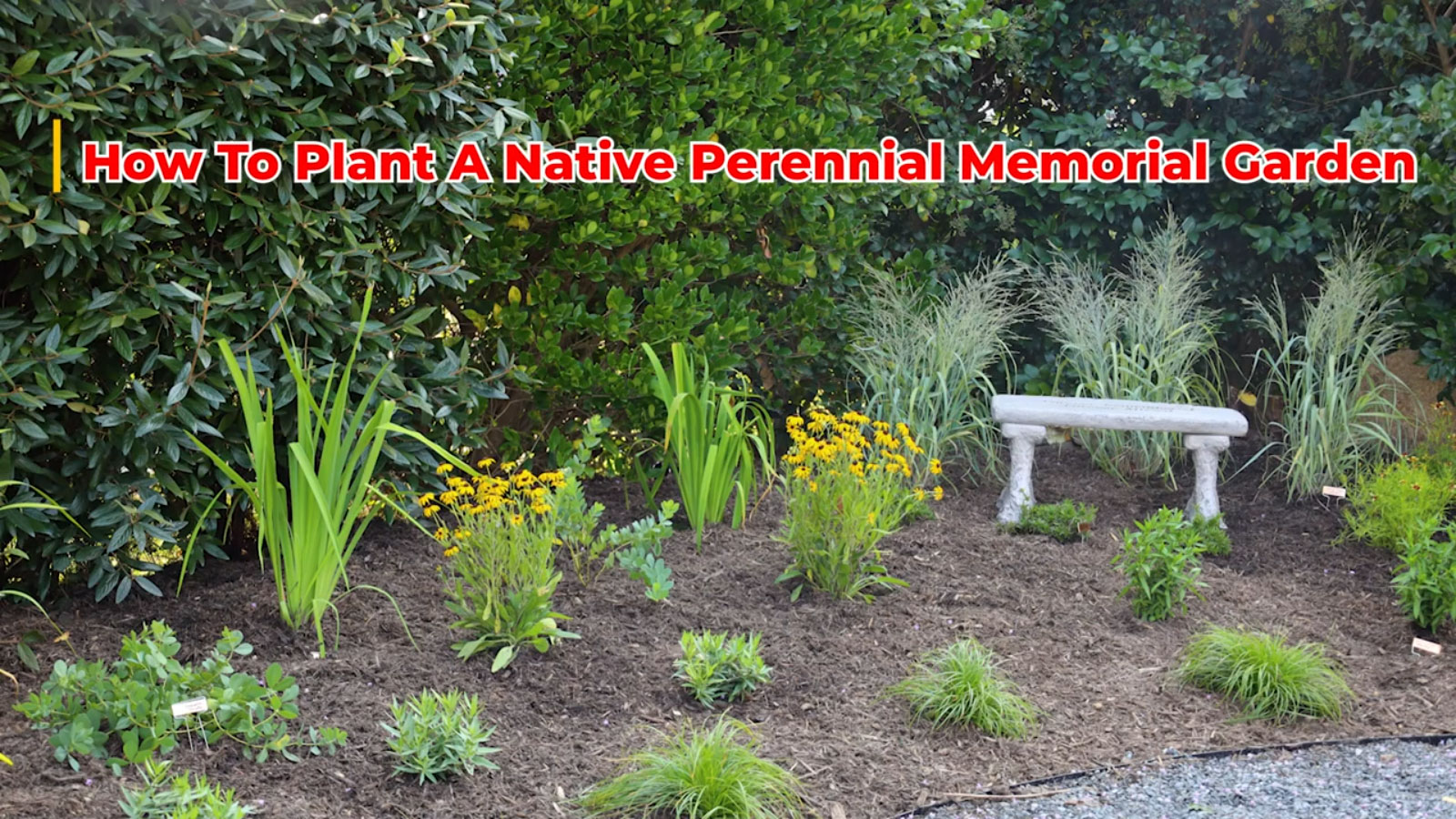 How To Plant A Native Perennial Memorial Garden