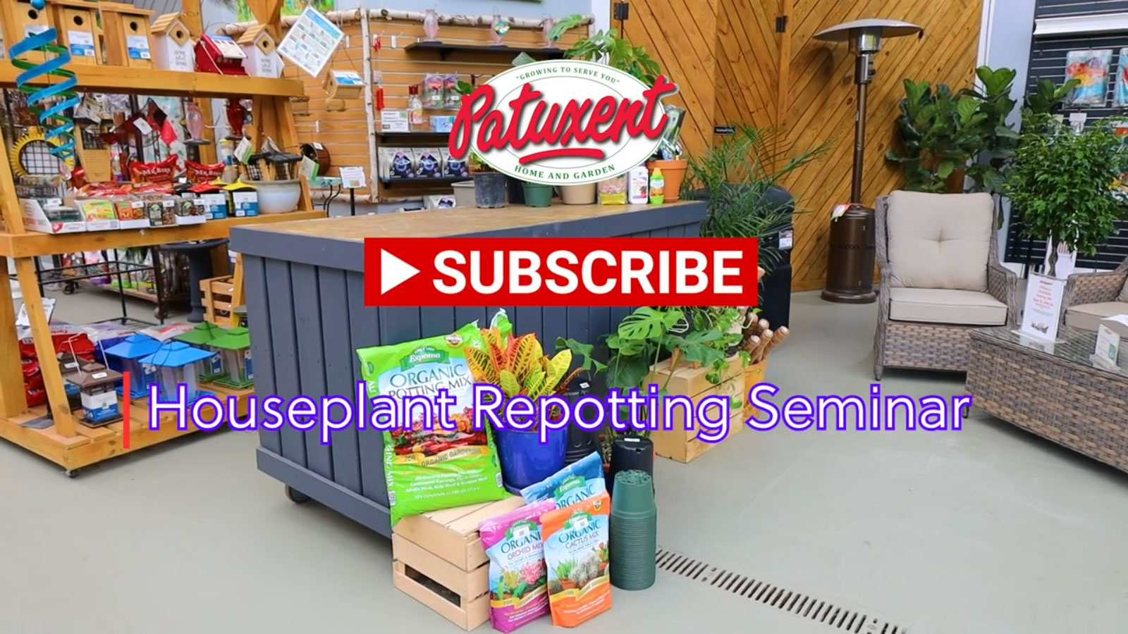 Houseplant Repotting Seminar