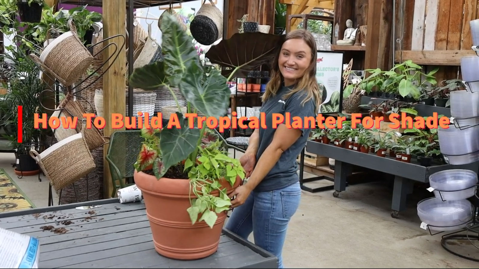 How To Build A Tropical For Shade